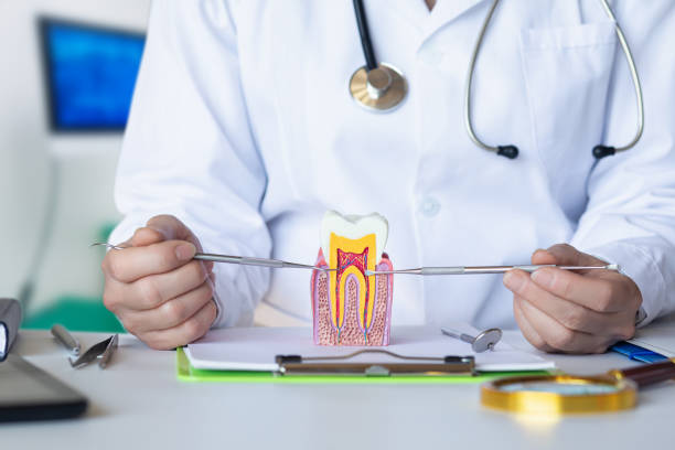 Best Dentist Open Late Near Me  in Wamac, IL